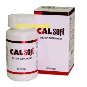 CanXi Calsoft