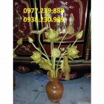 Hoa sen gỗ màu vàng